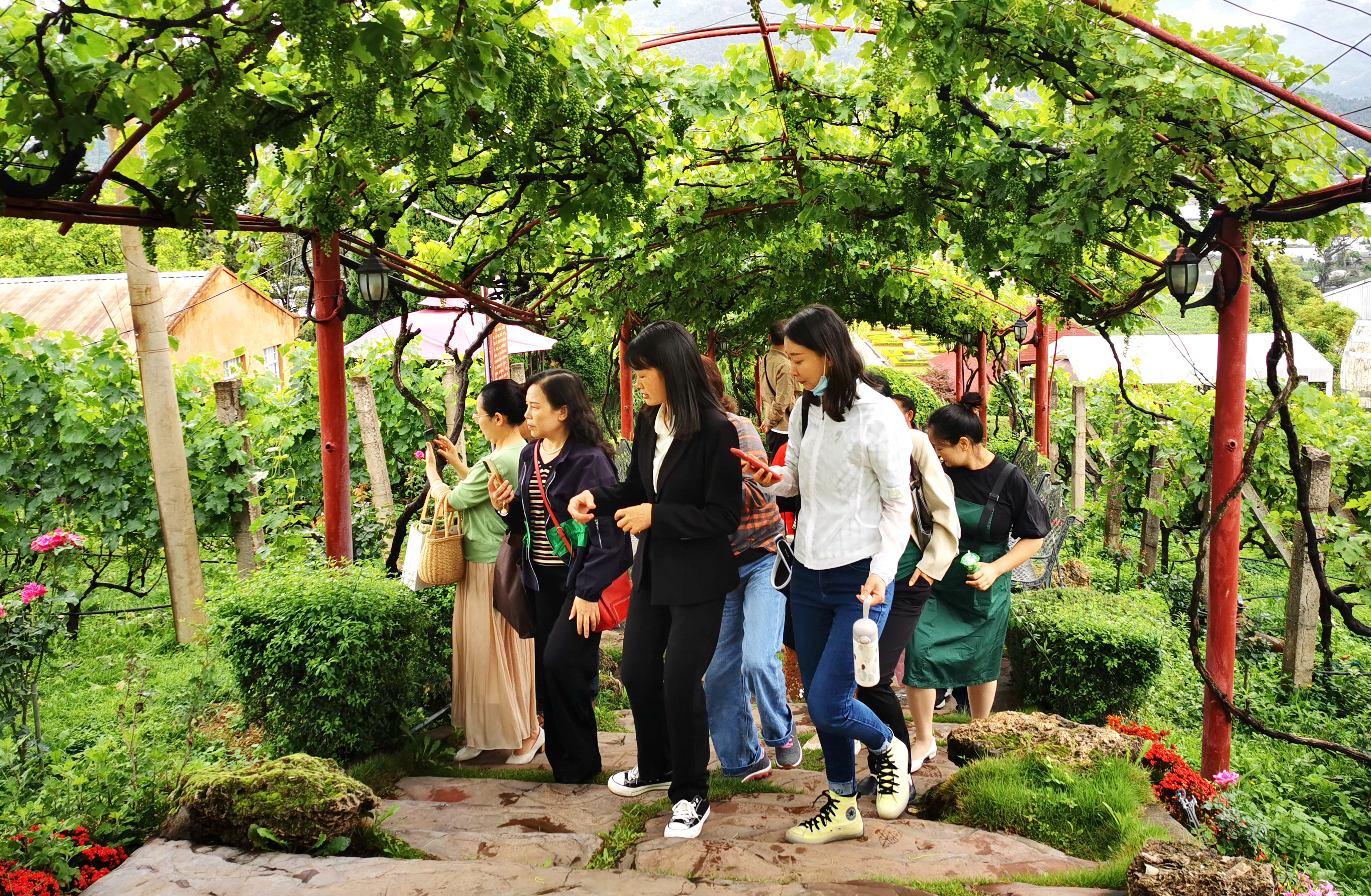 微信图片_20220531145340_副本 微信图片_20220531145340_副本