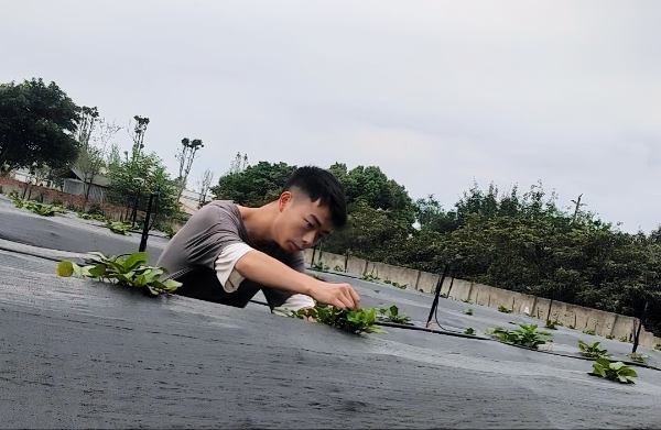 图片1 图片1
