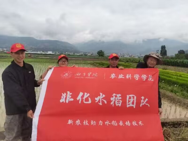 图片1 图片1