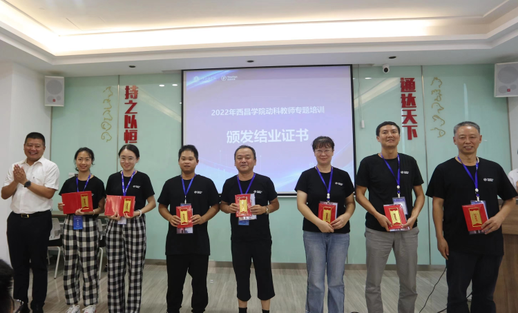 图片20