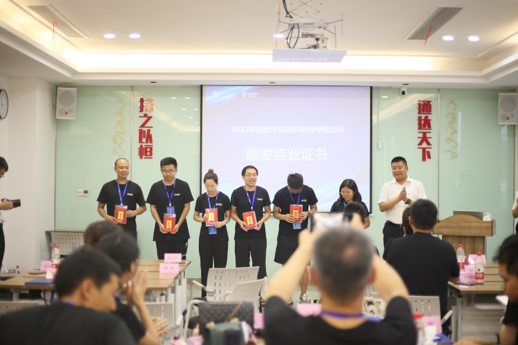 图片21