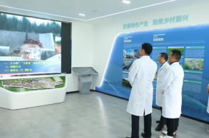 图片8