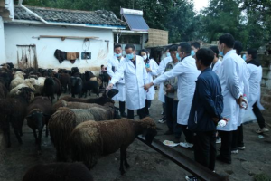 图片11