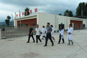 图片16