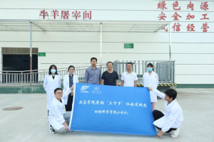 图片17