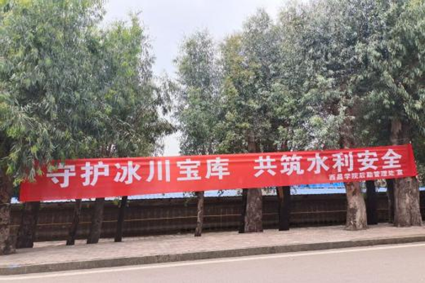 图片1 图片1