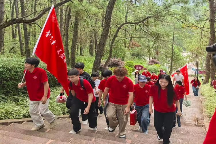 图片5