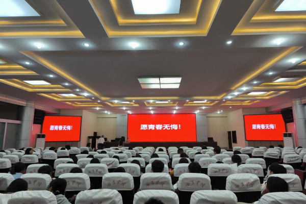 图片41