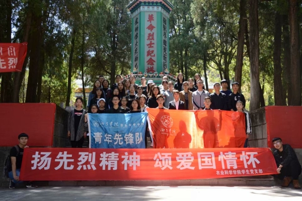 标题图片显示区