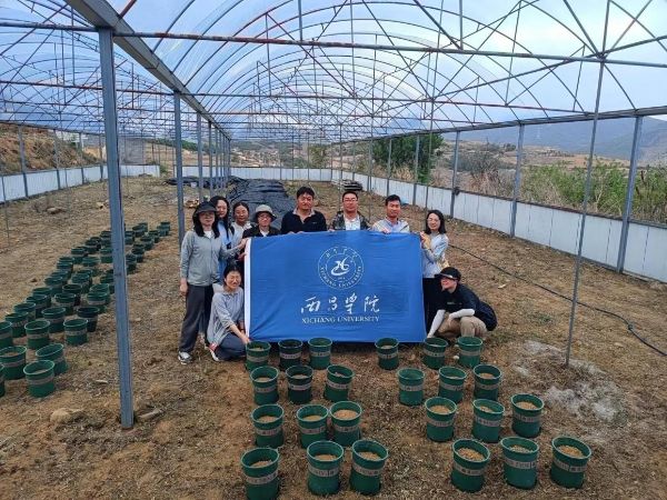 西昌学院荞麦科研基地建设顺利完成