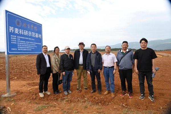 西昌学院荞麦科研团队在盐源县的苦荞示范基地播种工作已圆满成功