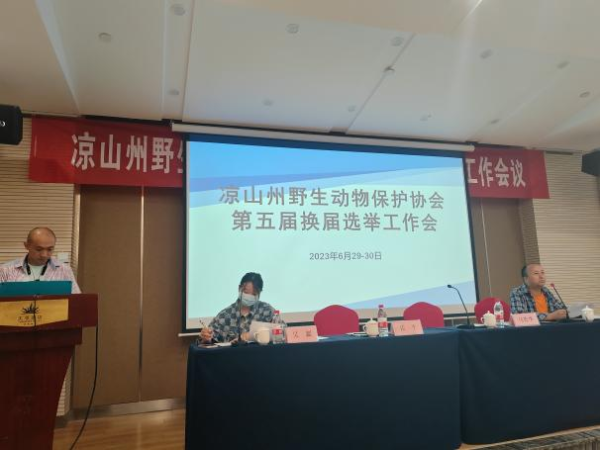 图片1 图片1