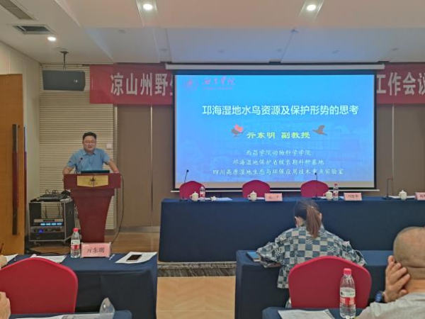图片2 图片2