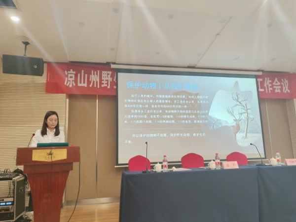 图片3 图片3