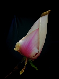 微信图片_20260331085148