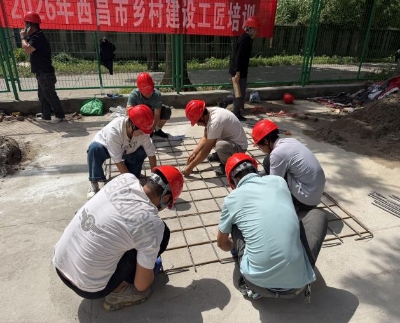 图片11 图片11