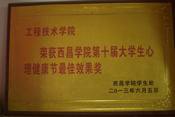 2013大学生心理健康节最佳效果奖2013