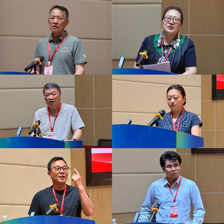 图片13 图片13