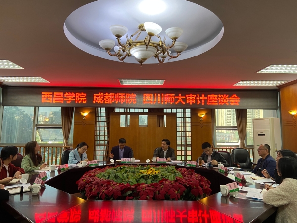 审计座谈会 审计座谈会