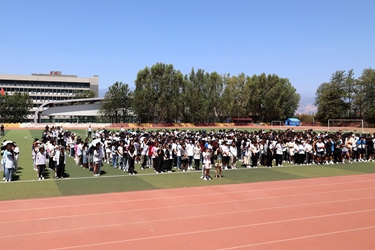 图片8 图片8