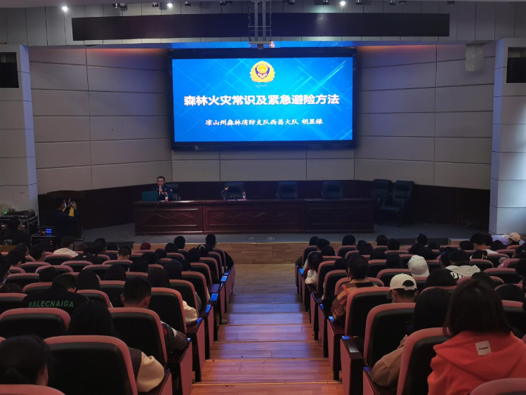 图片2 图片2
