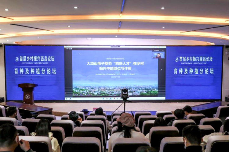 图片10 图片10
