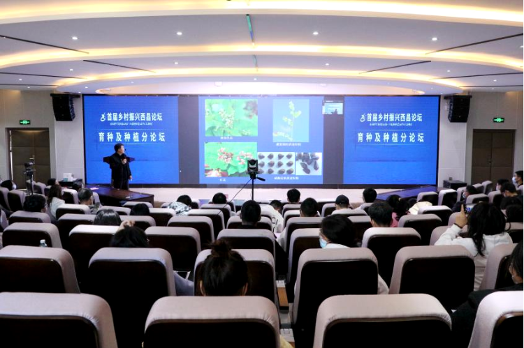 图片11 图片11