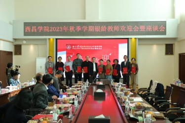 图片11
