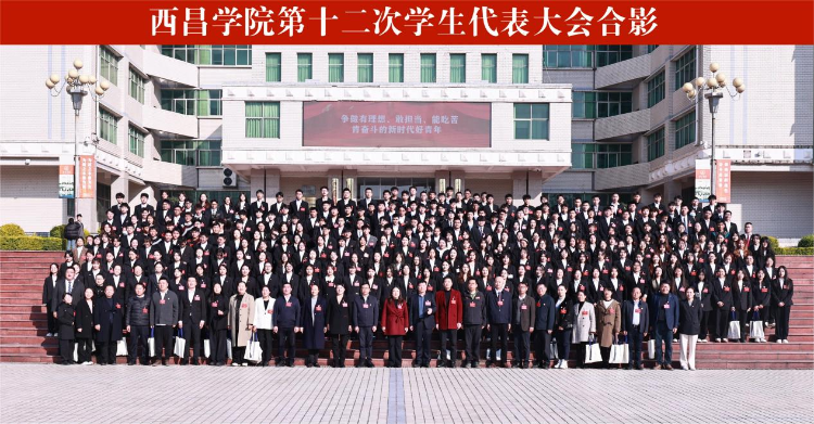 图片11 图片11