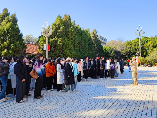 图片1 图片1