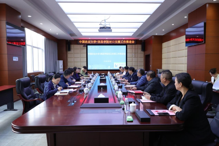 图片1 图片1