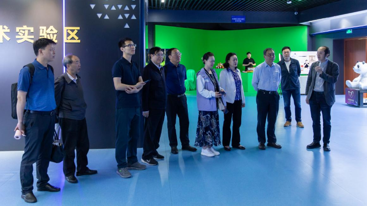 图片17 图片17