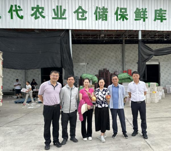 图片15 图片15