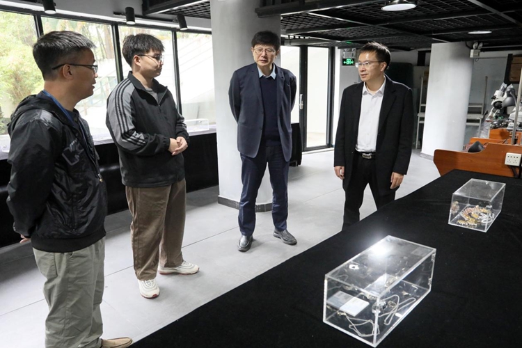 图片5 图片5