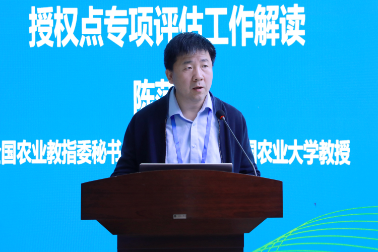 图片17
