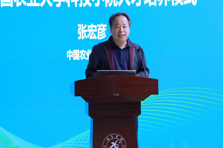 图片22