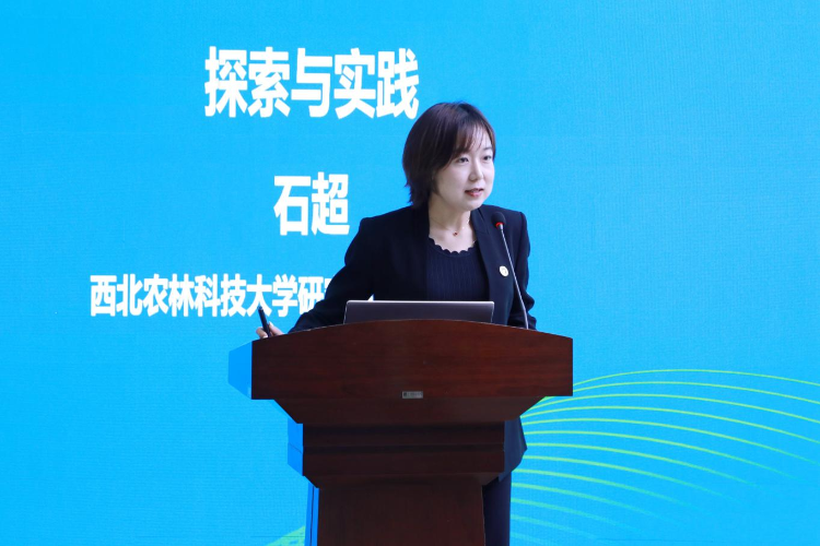 图片23