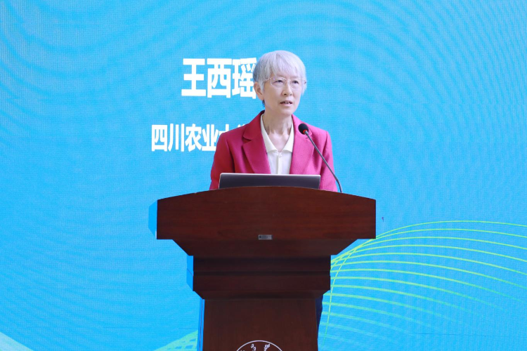 图片27