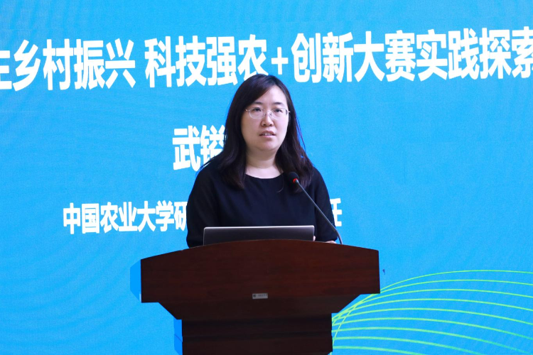 图片28