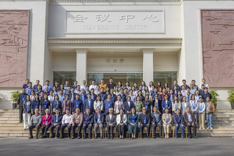 图片13