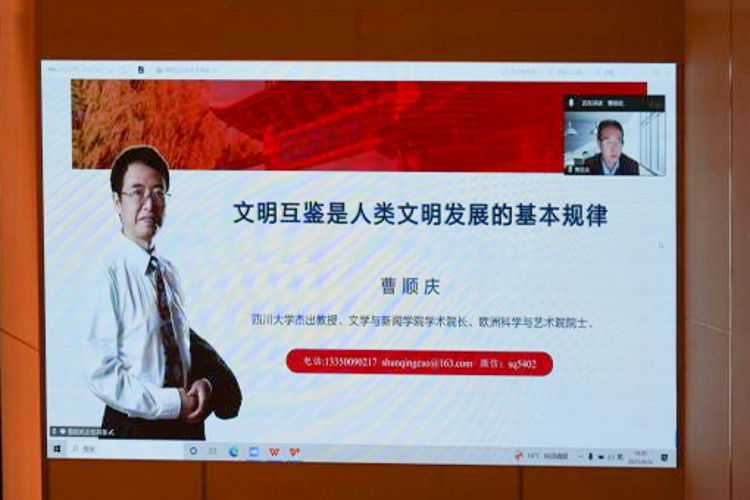 图片8