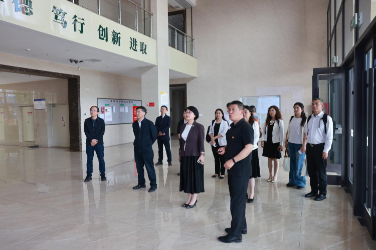 图片15