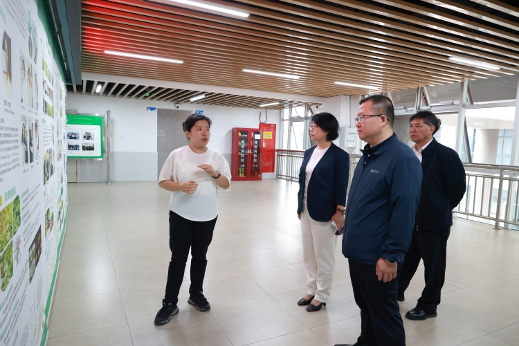 SQ3A1492_看图王 SQ3A1492_看图王