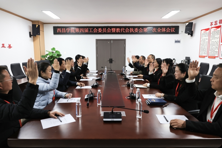 执行委员会表决