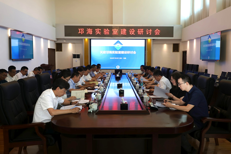 图片12 图片12