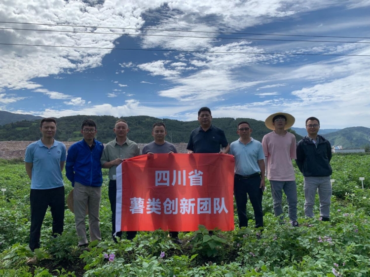 图片3 图片3