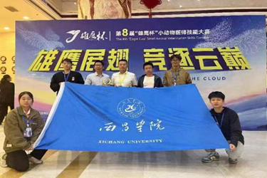 图片2 图片2
