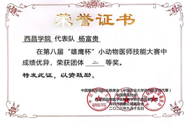 图片4 图片4