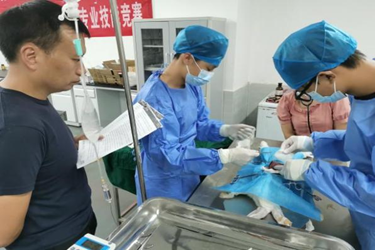 图片6 图片6