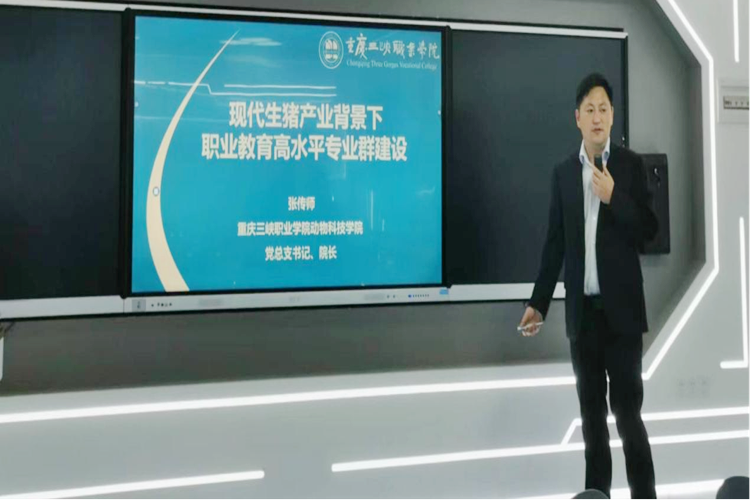 图片4 图片4